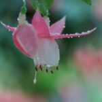 南宫壹号娱乐:在这里享受无与伦比的夜晚 61yf39wd5