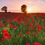 南宫壹号娱乐:如何在这里找到灵感与创意 9j7kdqru8