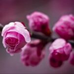 南宫体育:探索城市体育发展的新机遇 metih8z2q